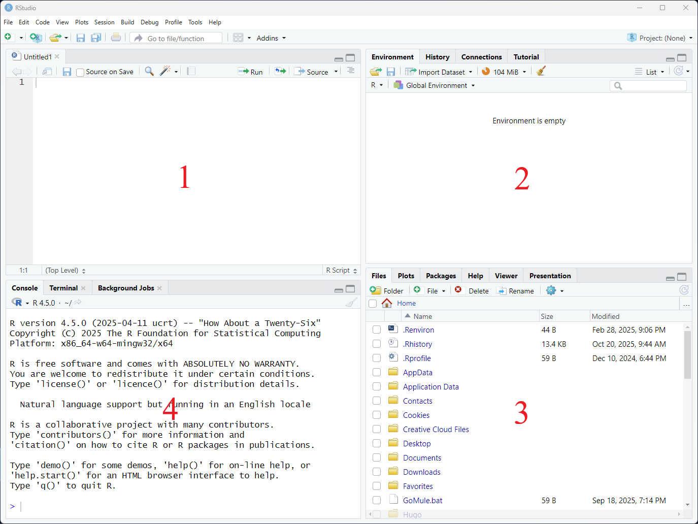 RStudio Interface